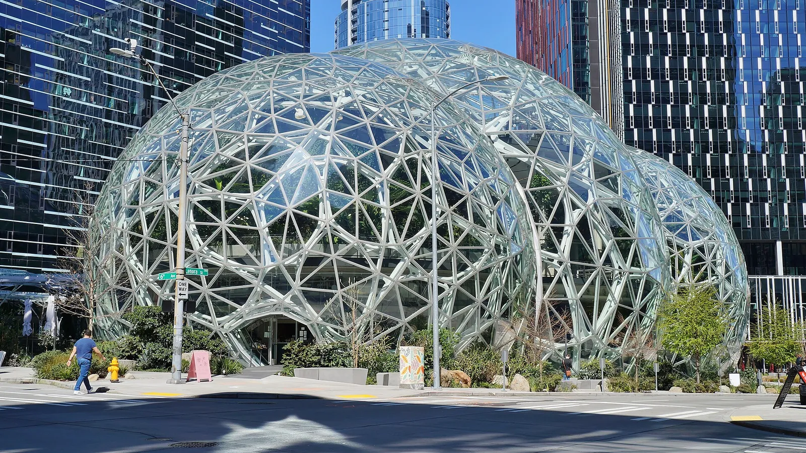 The Amazon Spheres