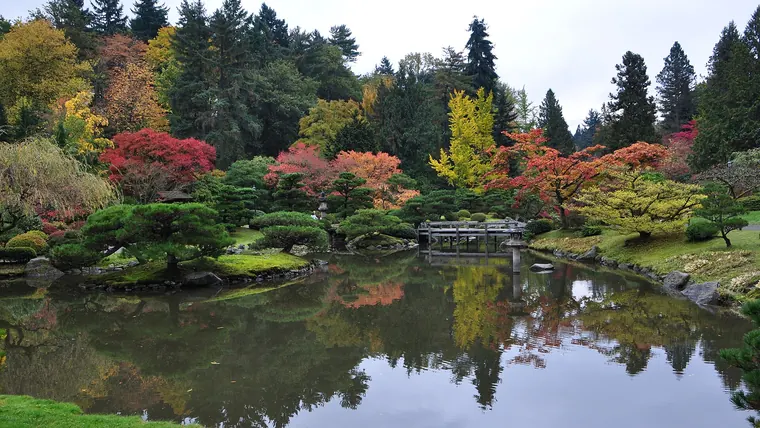 Seattle Japanese Garden