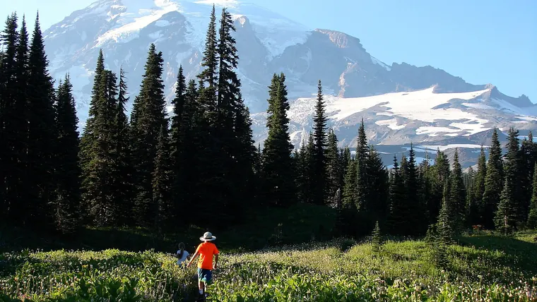 Mount Rainier