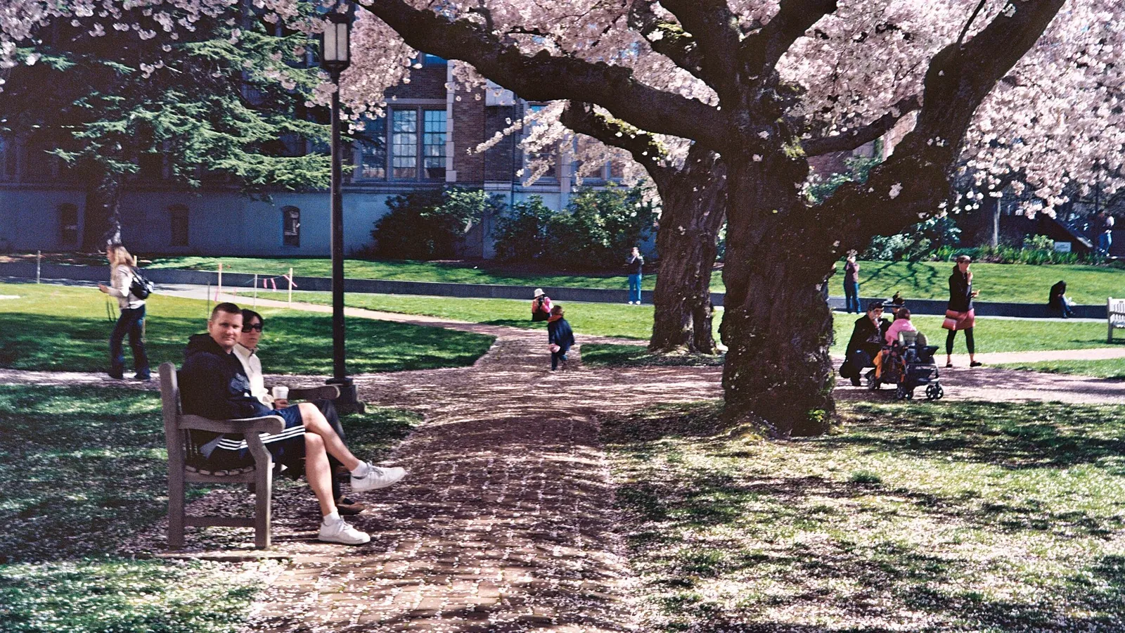 The UW Quad